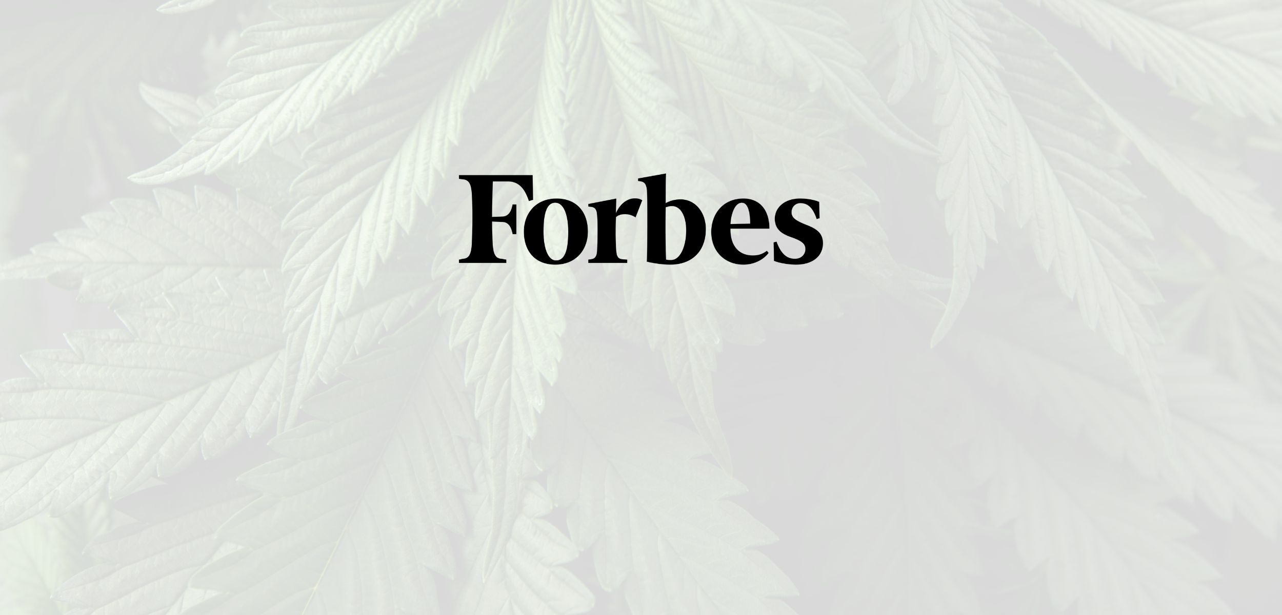Opinion | Setting the Record Straight on California’s One-Acre Cannabis Cap